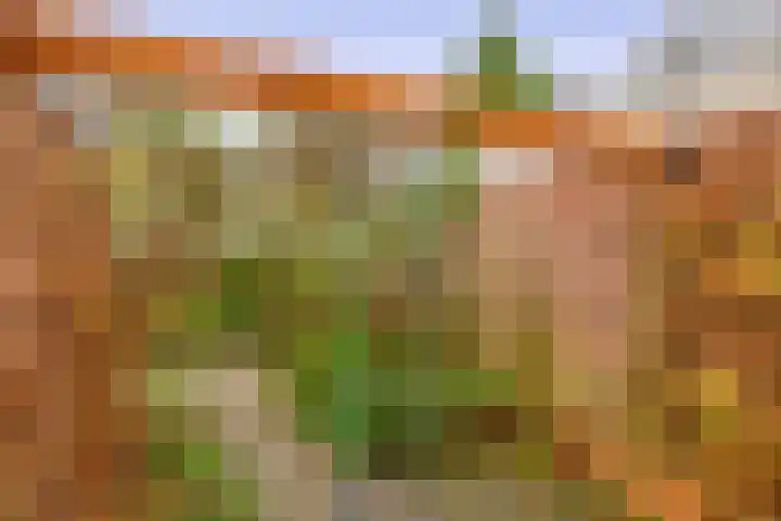 Beethovenlaan 11 Waddinxveen thumbnail 15