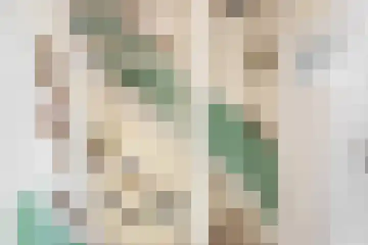 Beethovenlaan 11 Waddinxveen thumbnail 18