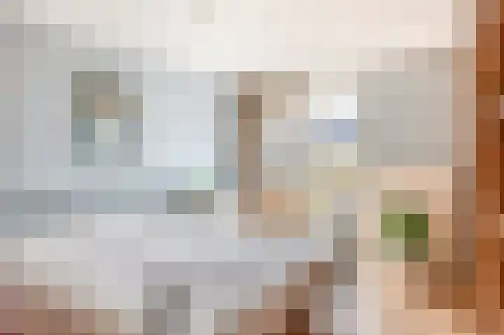 Beethovenlaan 11 Waddinxveen thumbnail 19