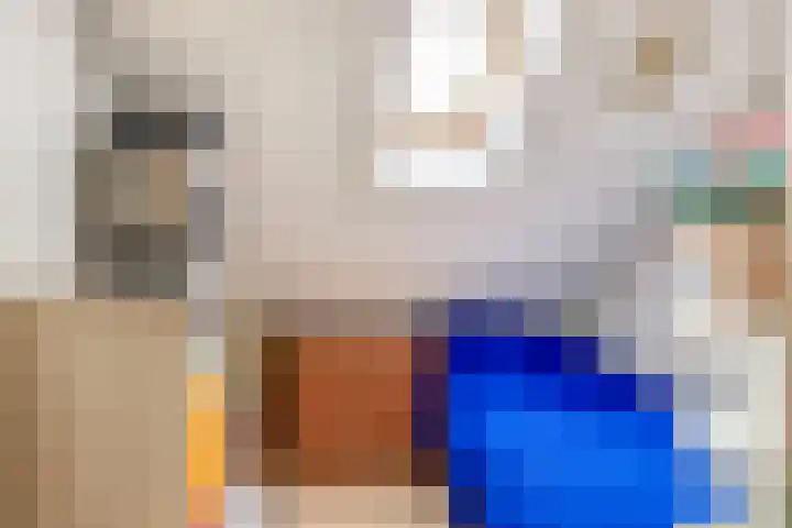 Beethovenlaan 11 Waddinxveen thumbnail 27