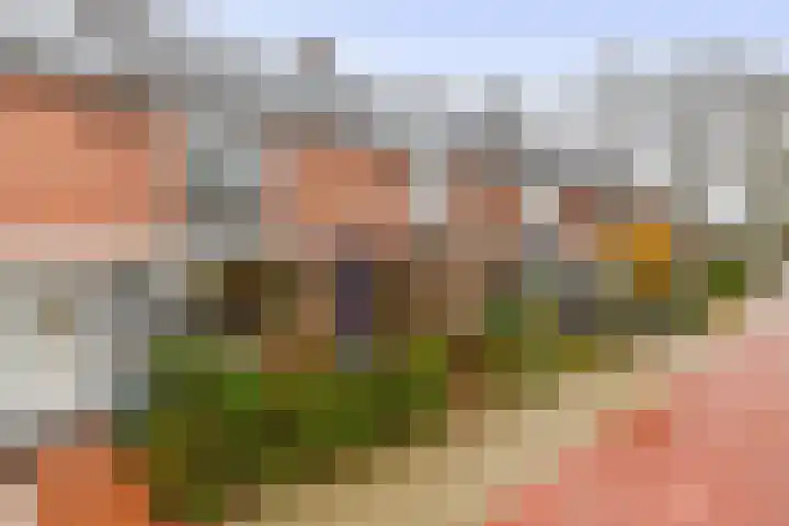 Beethovenlaan 11 Waddinxveen thumbnail 28