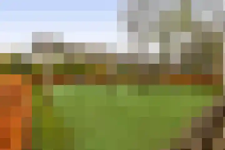 Beethovenlaan 11 Waddinxveen thumbnail 30