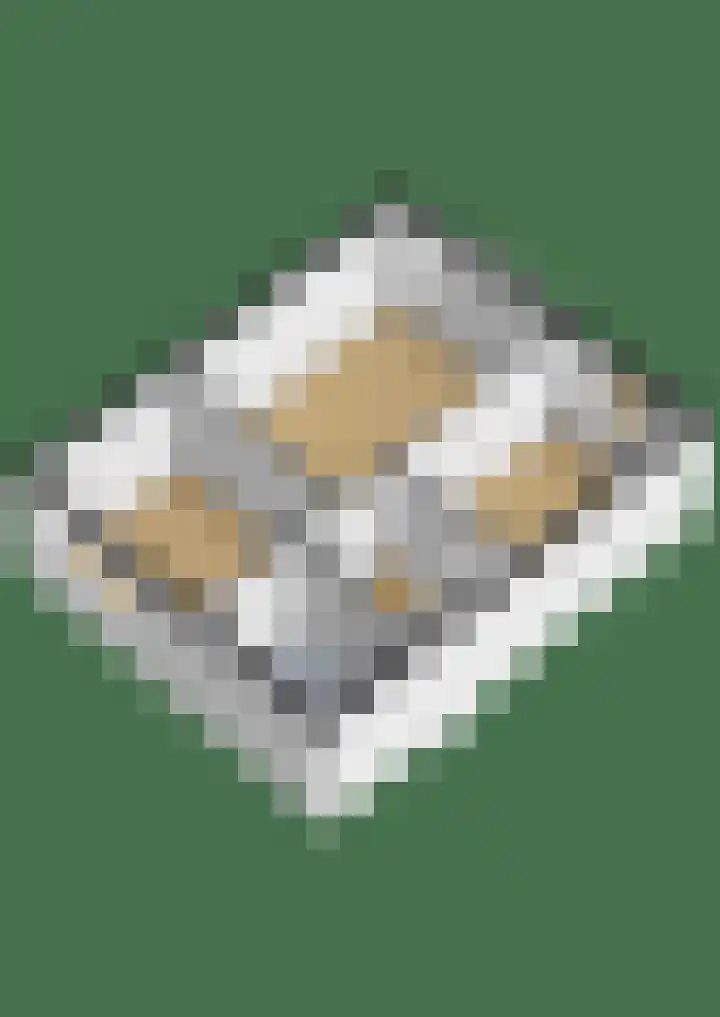 Beethovenlaan 11 Waddinxveen thumbnail 34