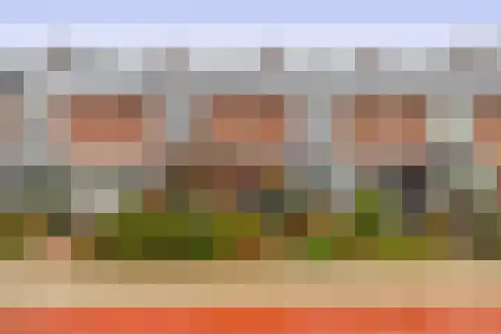 Beethovenlaan 11 Waddinxveen thumbnail 4