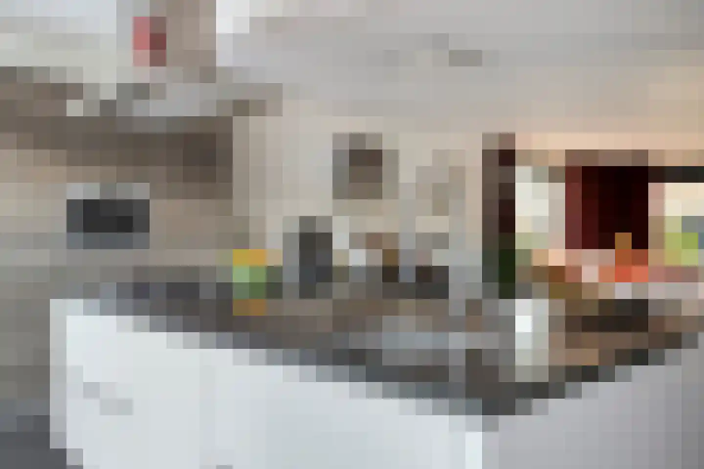 Beethovenlaan 111 Tilburg thumbnail 21
