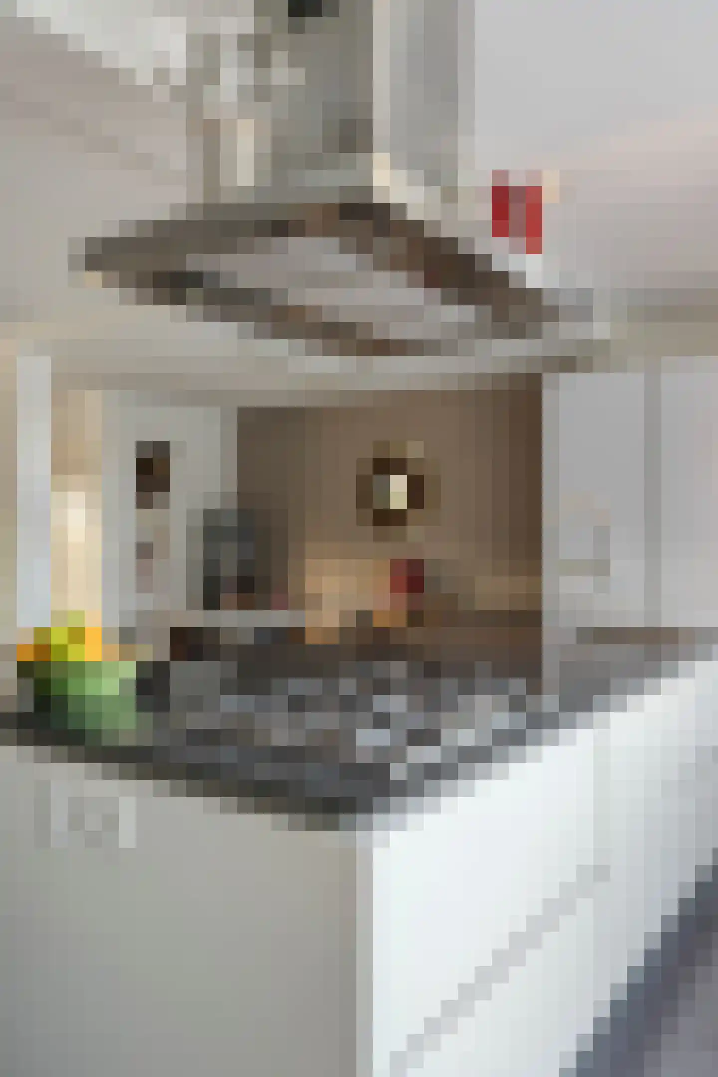 Beethovenlaan 111 Tilburg thumbnail 22