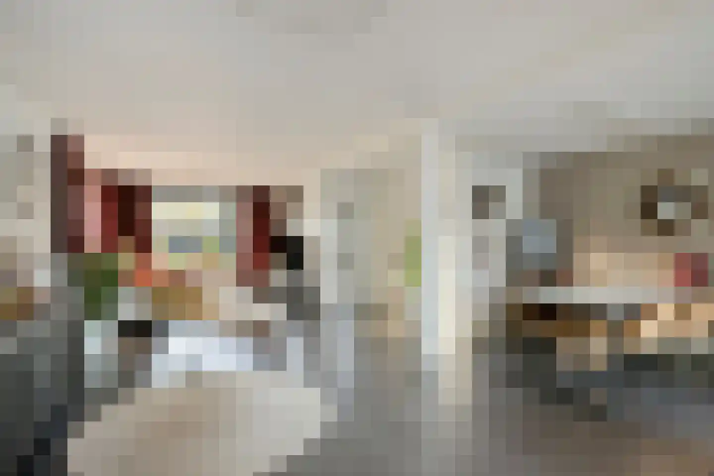Beethovenlaan 111 Tilburg foto 3