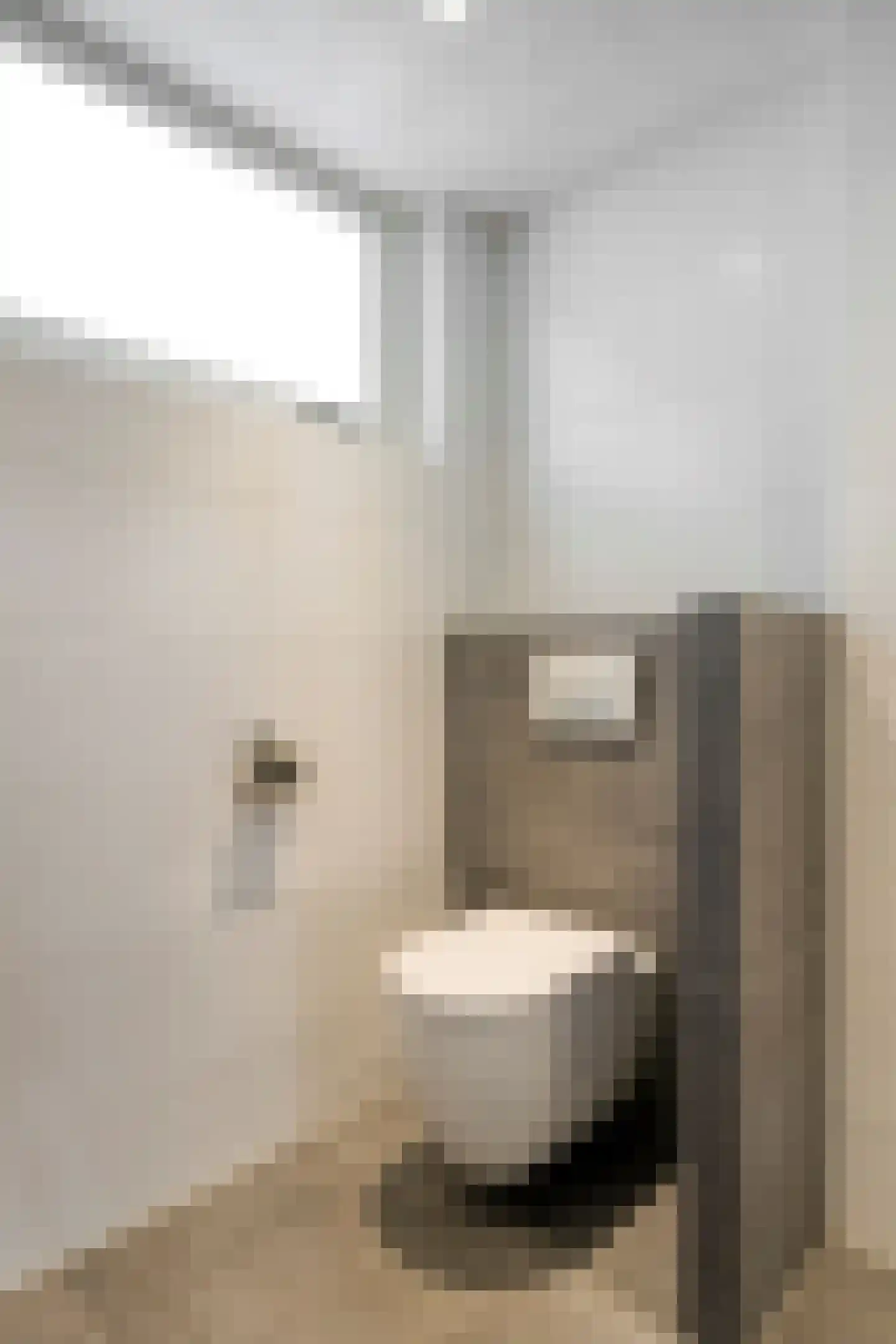 Beethovenlaan 111 Tilburg thumbnail 34