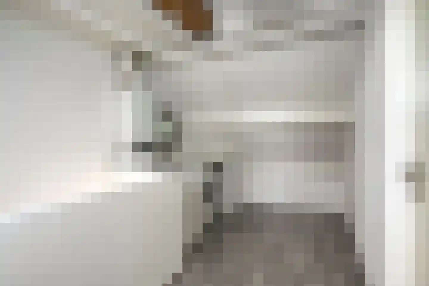 Beethovenlaan 111 Tilburg thumbnail 38