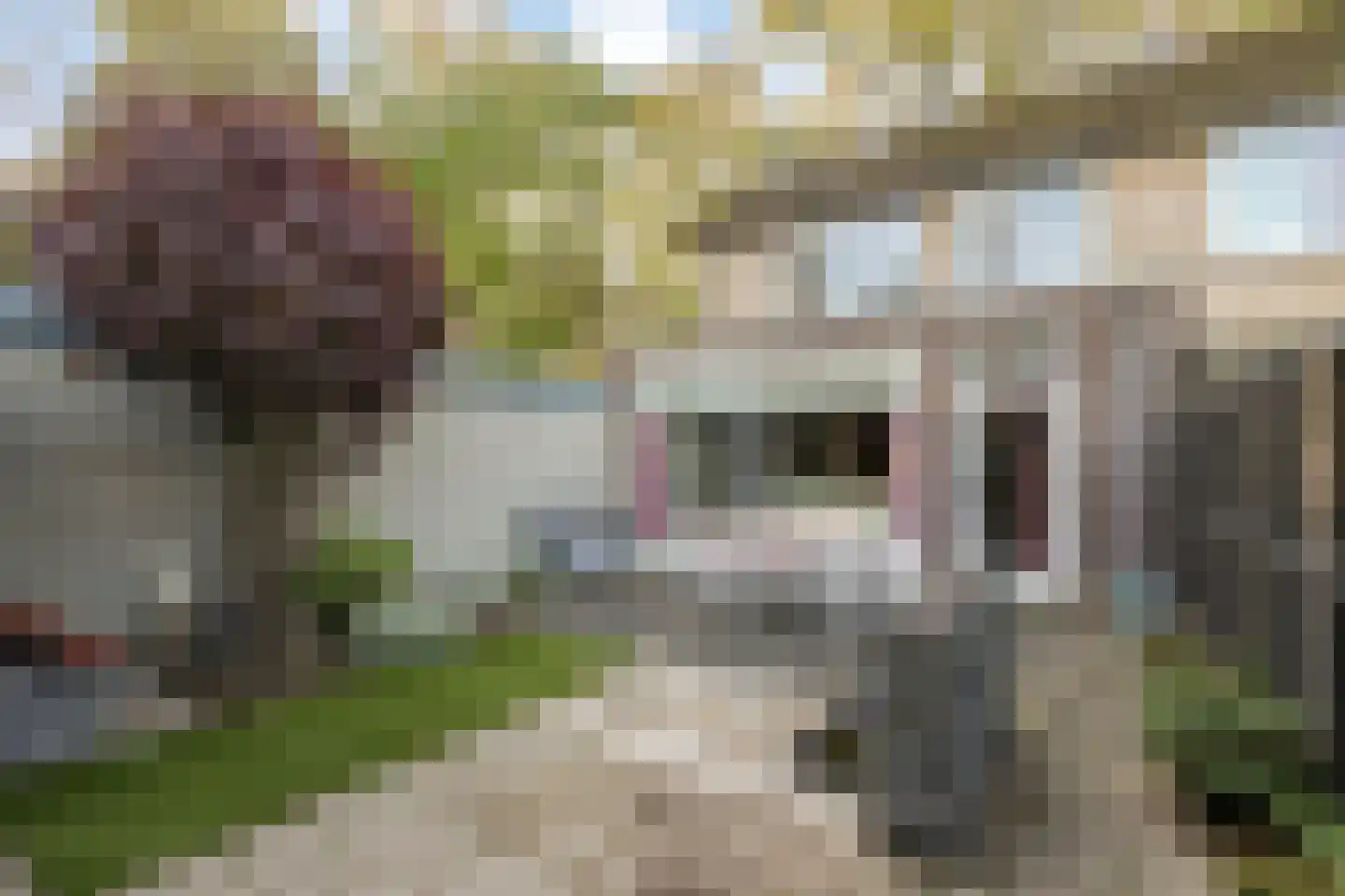 Beethovenlaan 111 Tilburg thumbnail 42