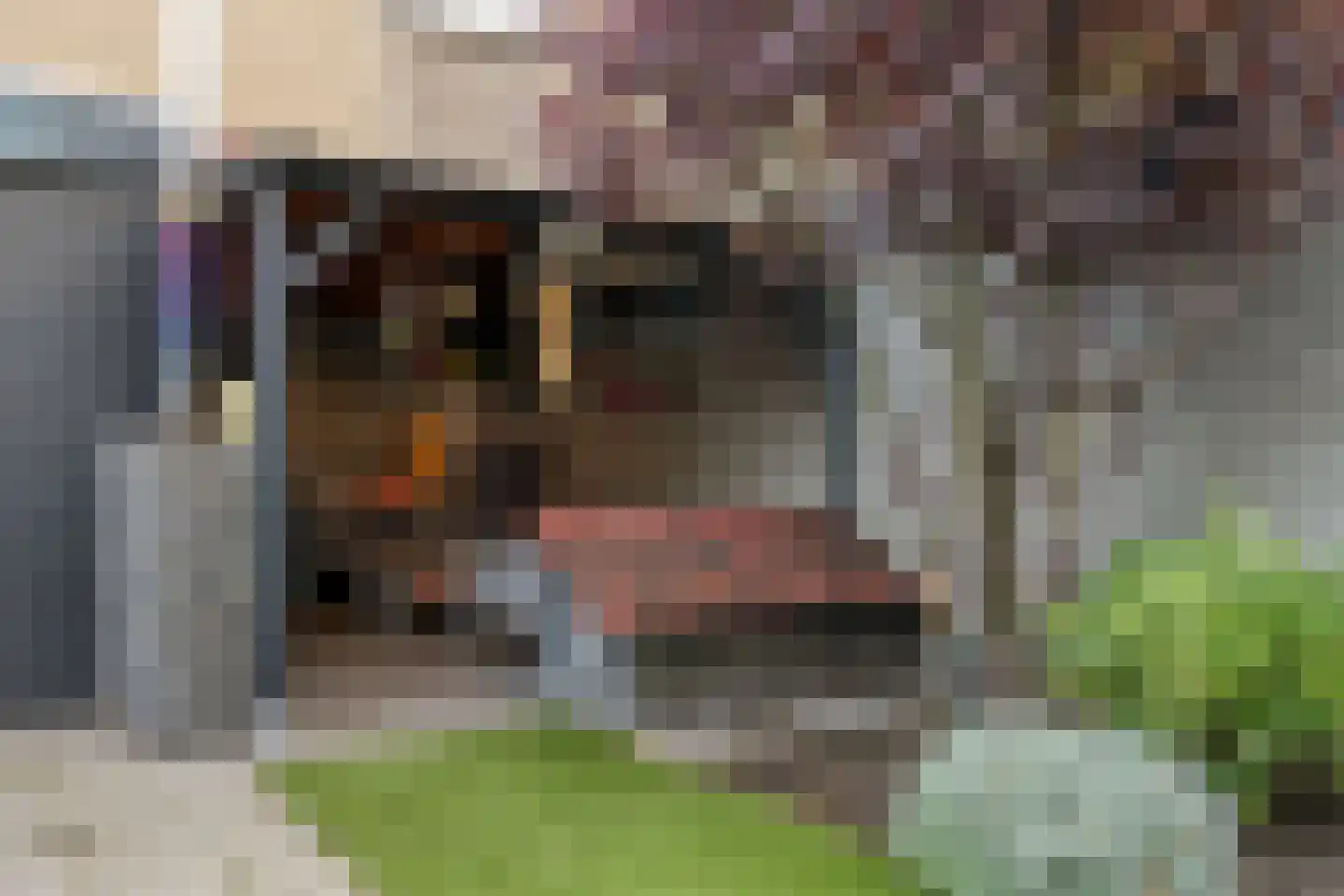 Beethovenlaan 111 Tilburg thumbnail 43