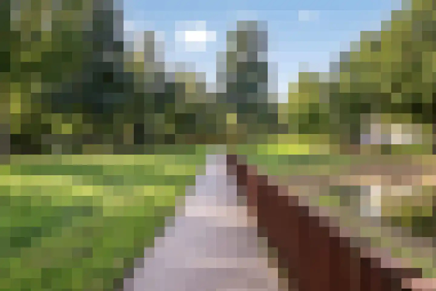 Beethovenlaan 111 Tilburg thumbnail 53