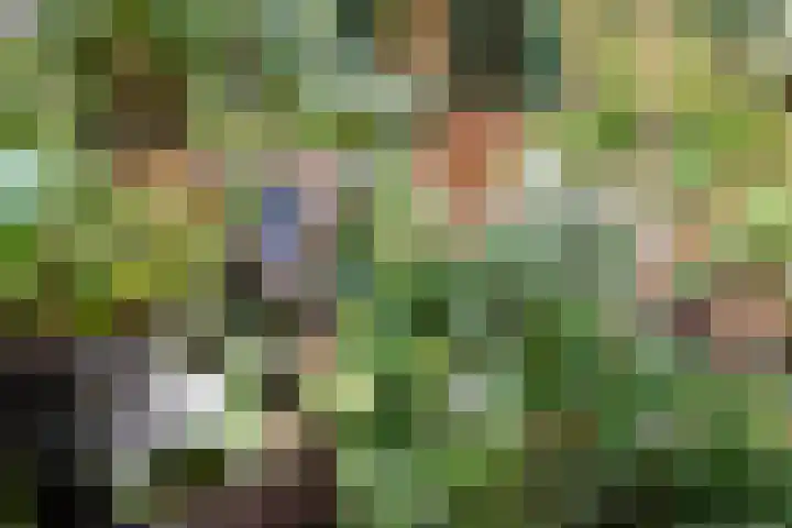 Beethovenlaan 116 Doorwerth thumbnail 59