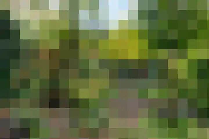 Beethovenlaan 116 Doorwerth thumbnail 60