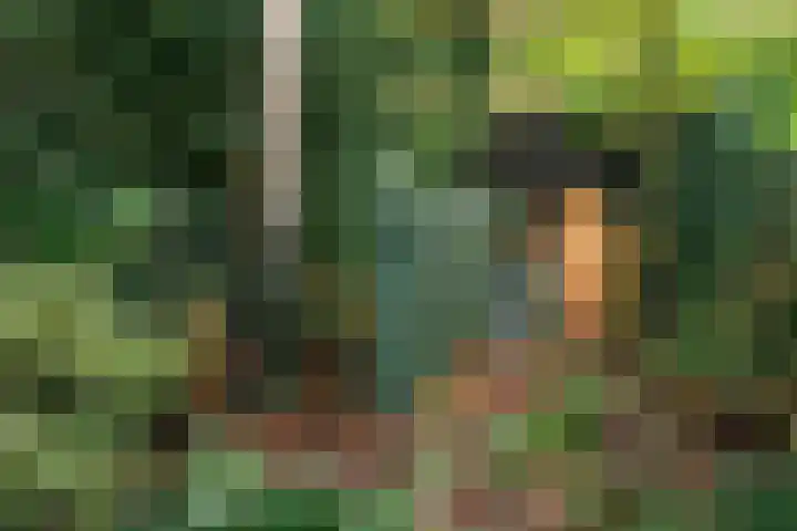 Beethovenlaan 116 Doorwerth thumbnail 63