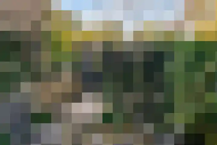 Beethovenlaan 116 Doorwerth thumbnail 66