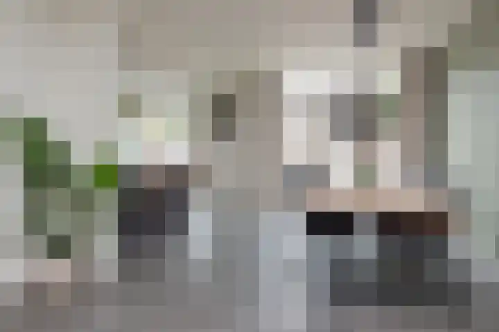 Beethovenlaan 14 Aalsmeer thumbnail 10