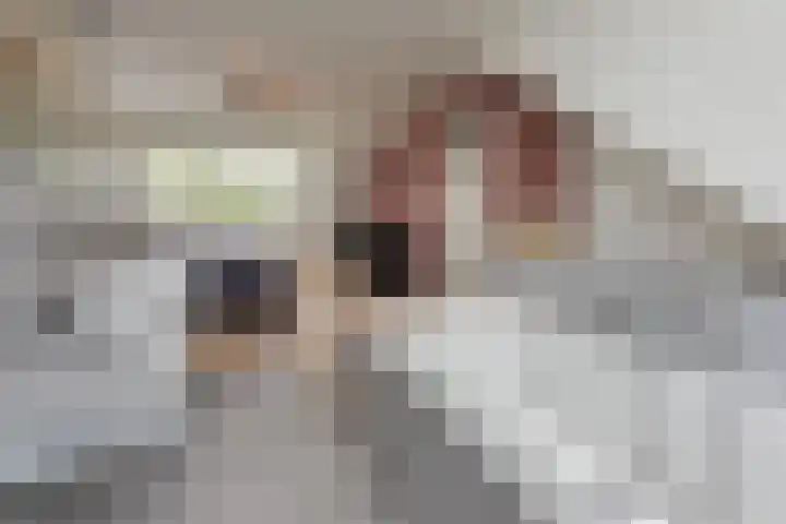Beethovenlaan 14 Aalsmeer thumbnail 19