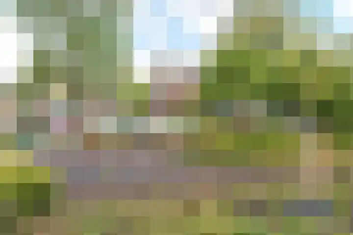 Beethovenlaan 14 Aalsmeer thumbnail 21
