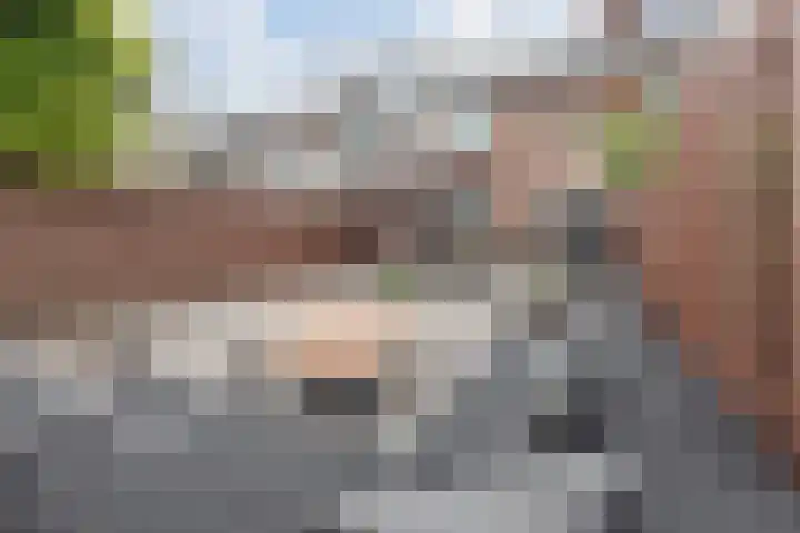 Beethovenlaan 14 Aalsmeer thumbnail 4