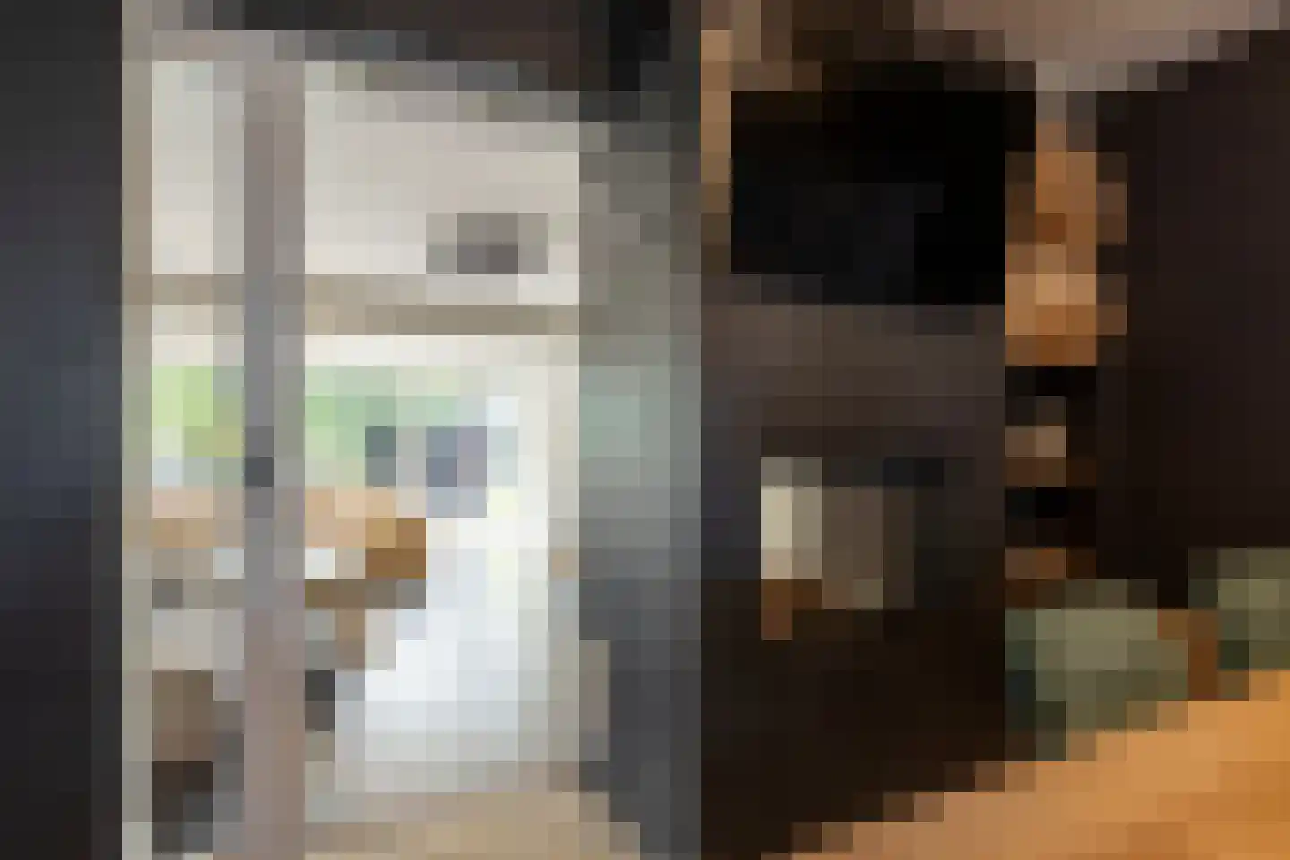 Beethovenlaan 14 Hengelo thumbnail 15