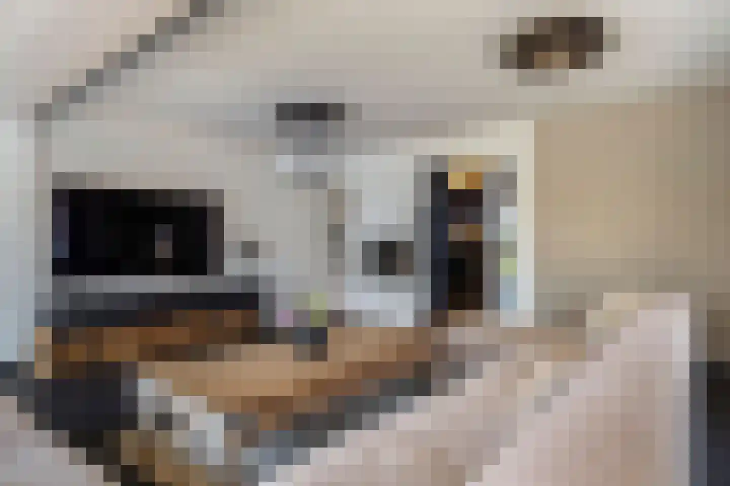 Beethovenlaan 14 Hengelo thumbnail 19