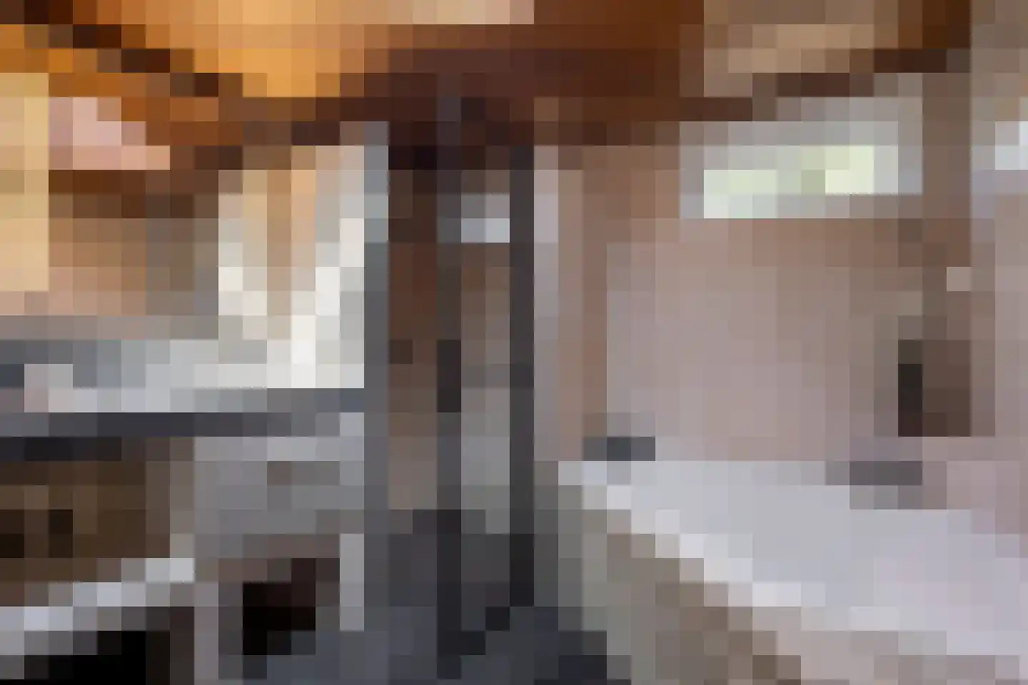 Beethovenlaan 14 Hengelo thumbnail 30