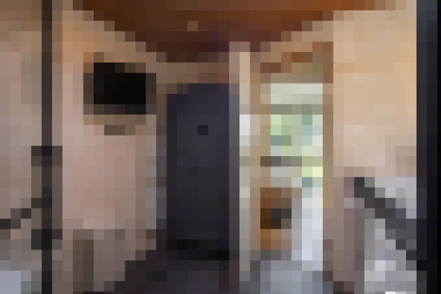 Beethovenlaan 14 Hengelo thumbnail 32