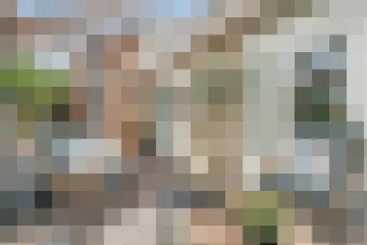 Beethovenlaan 14 Nijverdal thumbnail 15