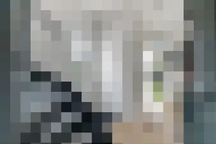 Beethovenlaan 14 Nijverdal thumbnail 17