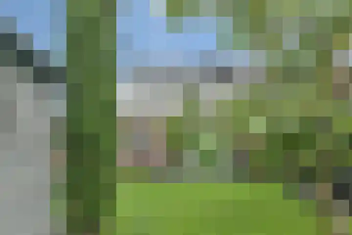 Beethovenlaan 14 Nijverdal thumbnail 35