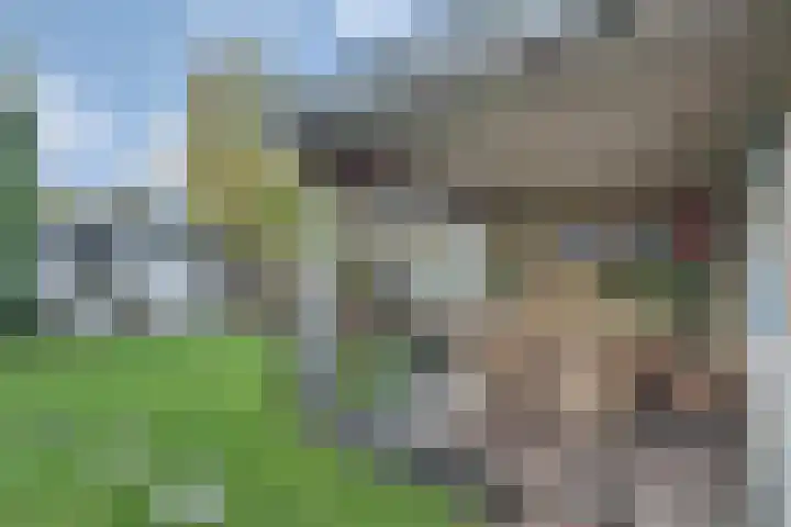 Beethovenlaan 14 Nijverdal thumbnail 39