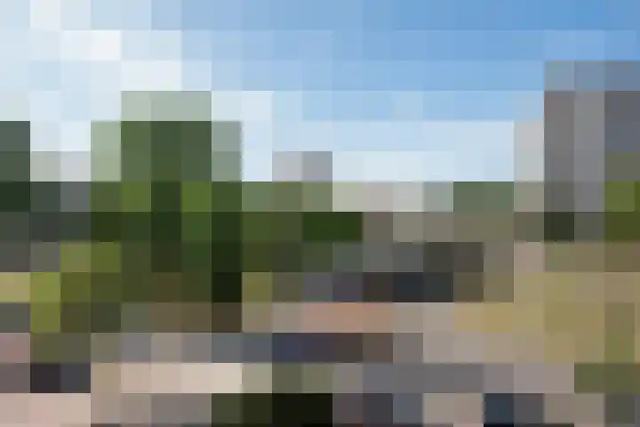 Beethovenlaan 141 Den Haag thumbnail 18