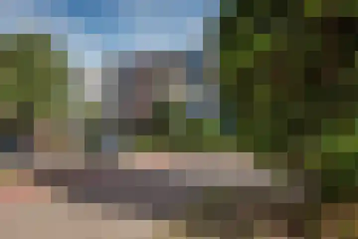 Beethovenlaan 141 Den Haag thumbnail 7