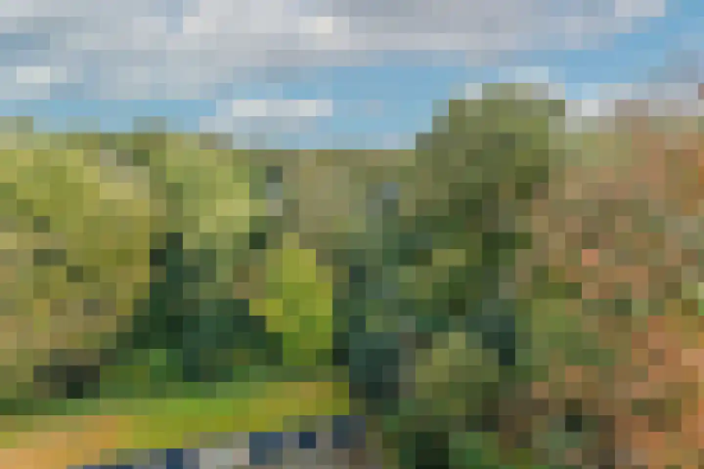 Beethovenlaan 141 Doorwerth thumbnail 36