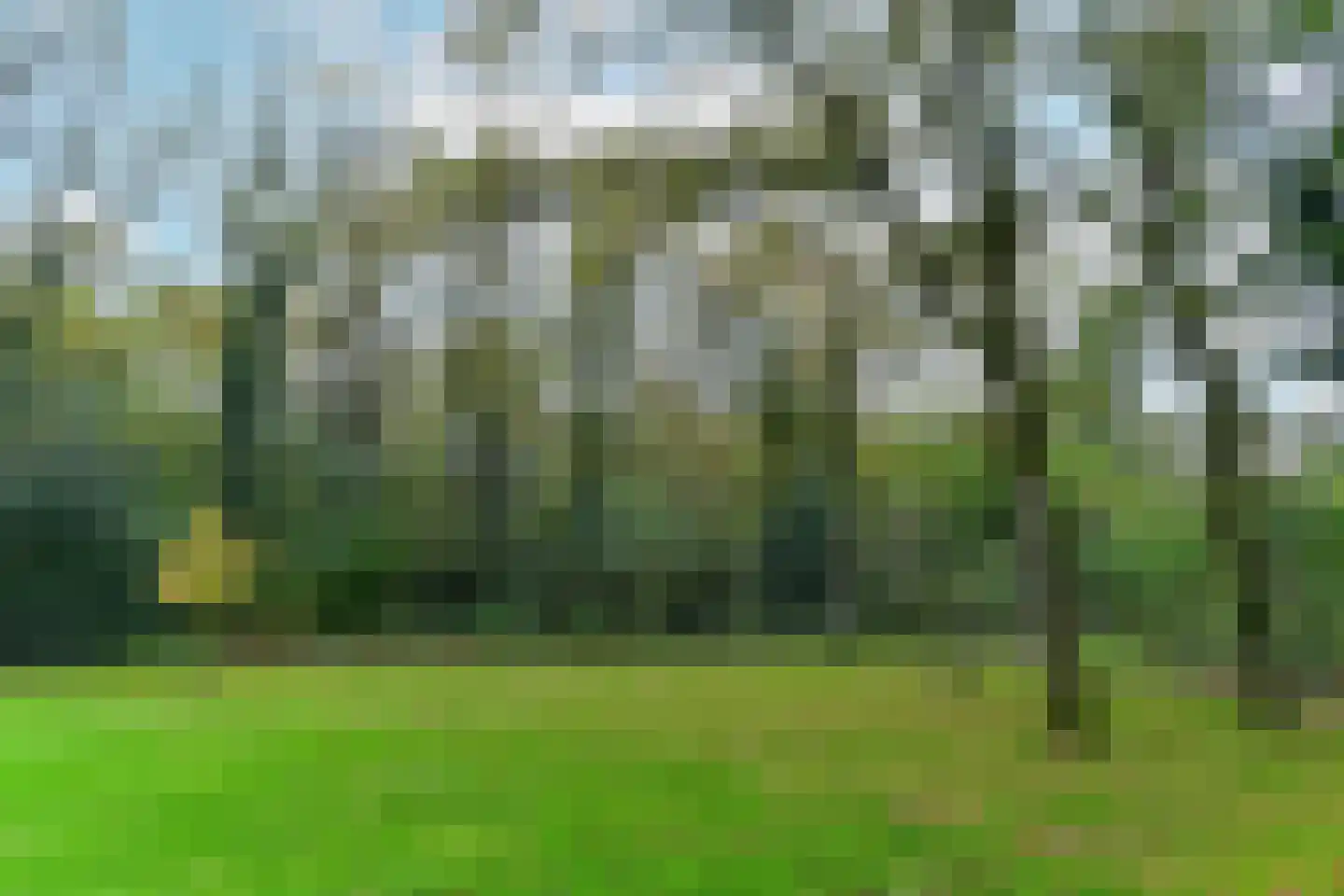 Beethovenlaan 141 Doorwerth thumbnail 38