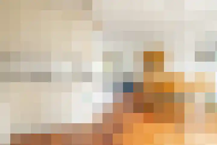 Beethovenlaan 17 Utrecht thumbnail 17