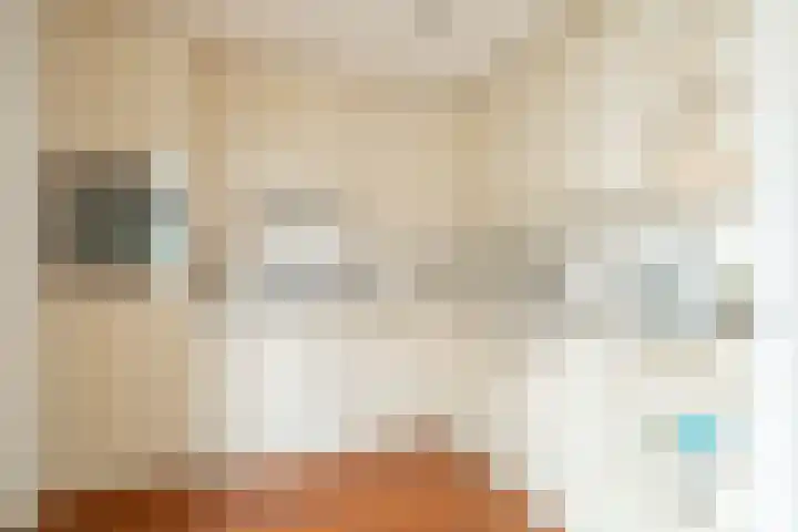 Beethovenlaan 17 Utrecht thumbnail 19