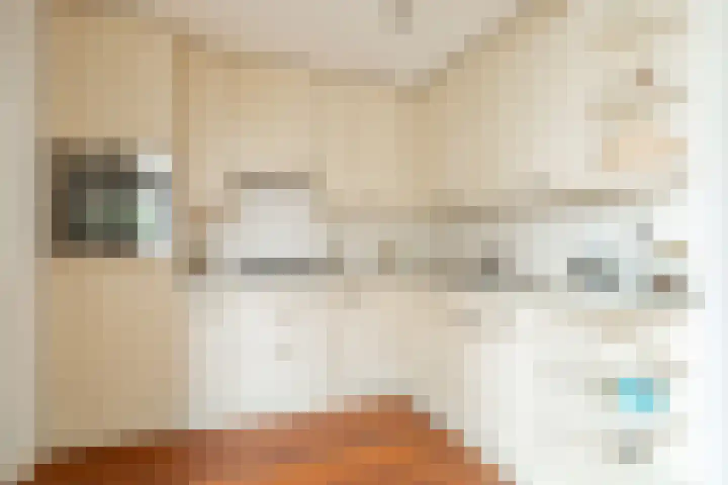 Beethovenlaan 17 Utrecht thumbnail 19
