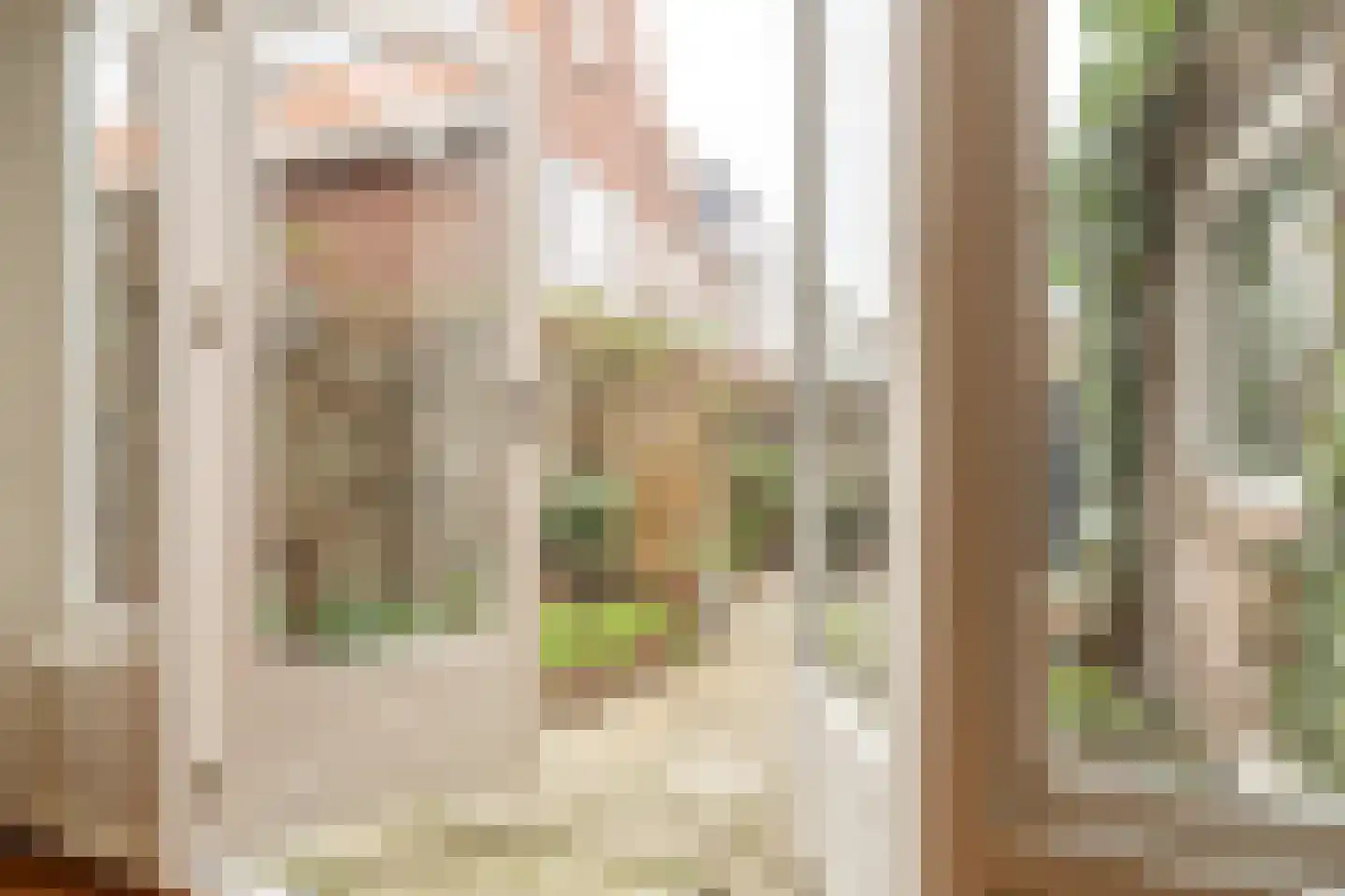 Beethovenlaan 17 Utrecht thumbnail 22