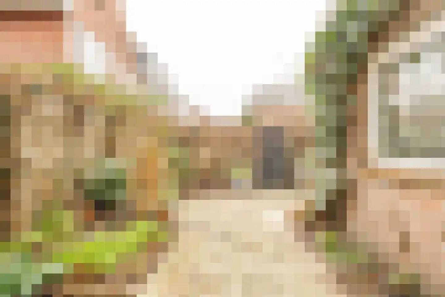 Beethovenlaan 17 Utrecht thumbnail 23
