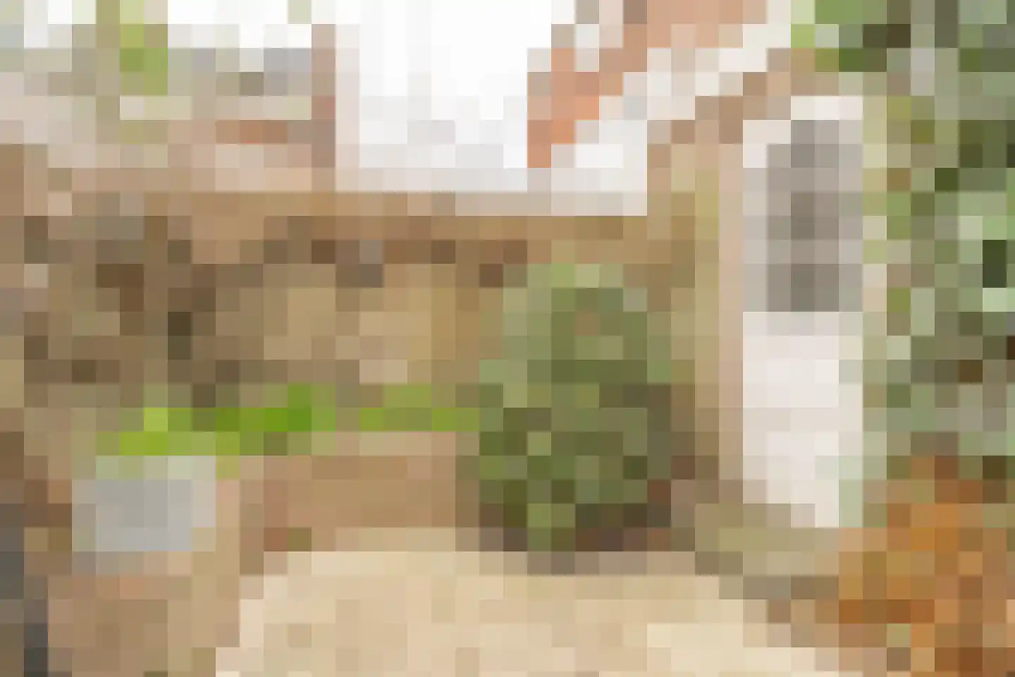 Beethovenlaan 17 Utrecht thumbnail 26