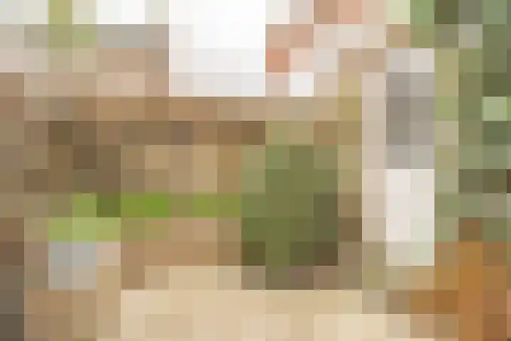 Beethovenlaan 17 Utrecht thumbnail 26