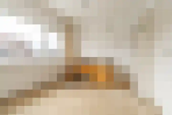 Beethovenlaan 17 Utrecht thumbnail 29