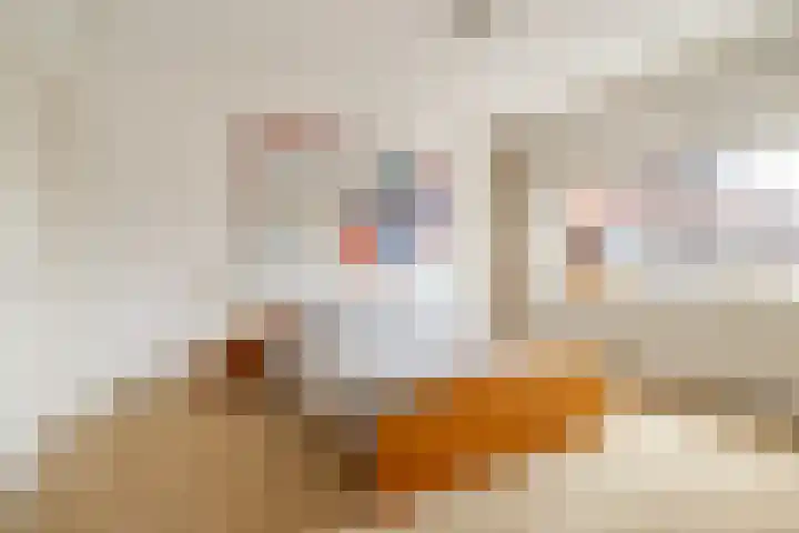 Beethovenlaan 17 Utrecht thumbnail 31