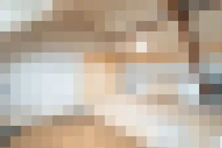 Beethovenlaan 17 Utrecht thumbnail 39