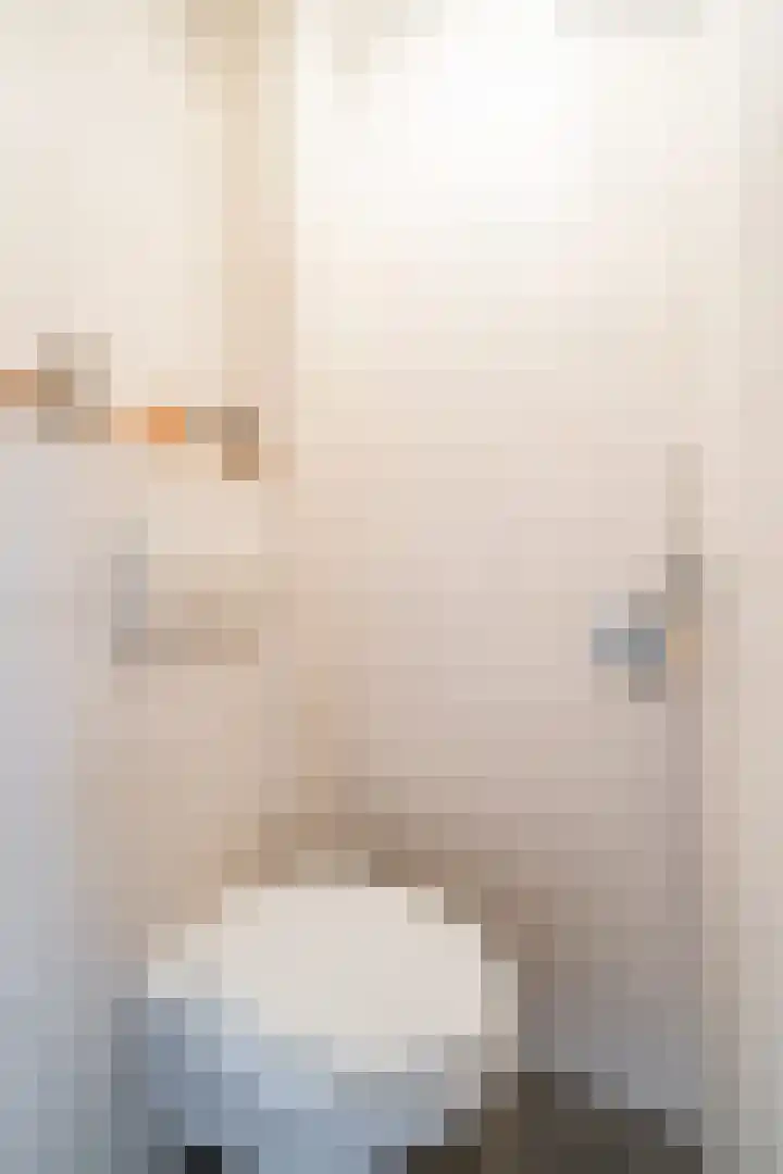 Beethovenlaan 17 Utrecht thumbnail 8