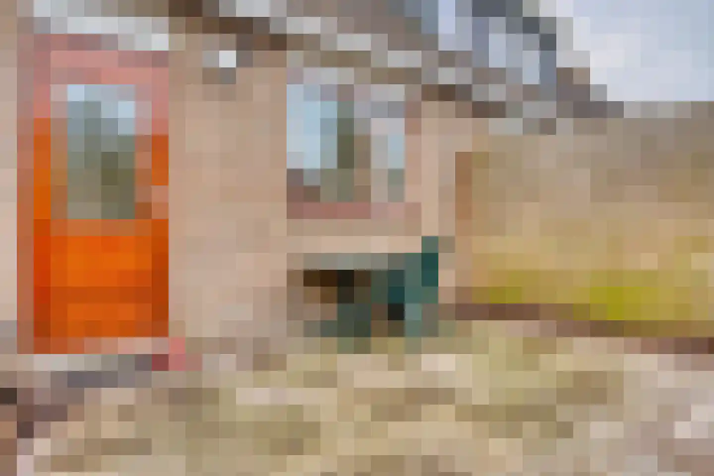 Beethovenlaan 17 Zwijndrecht thumbnail 34