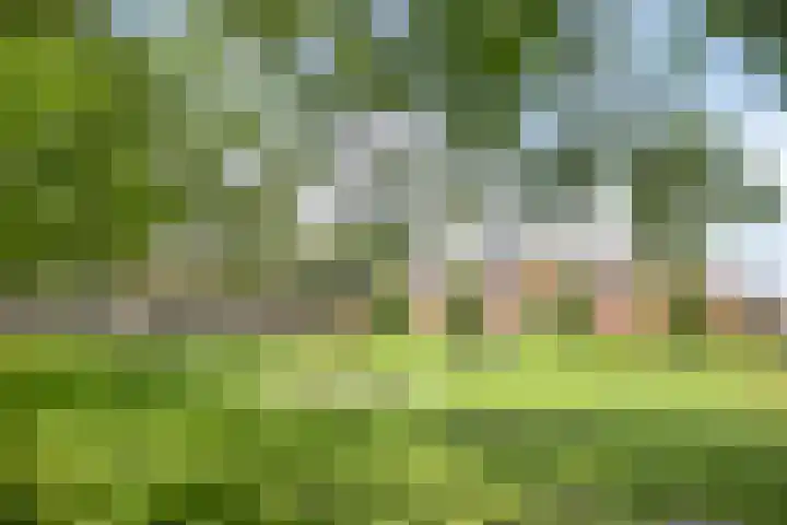 Beethovenlaan 178 Tilburg thumbnail 27