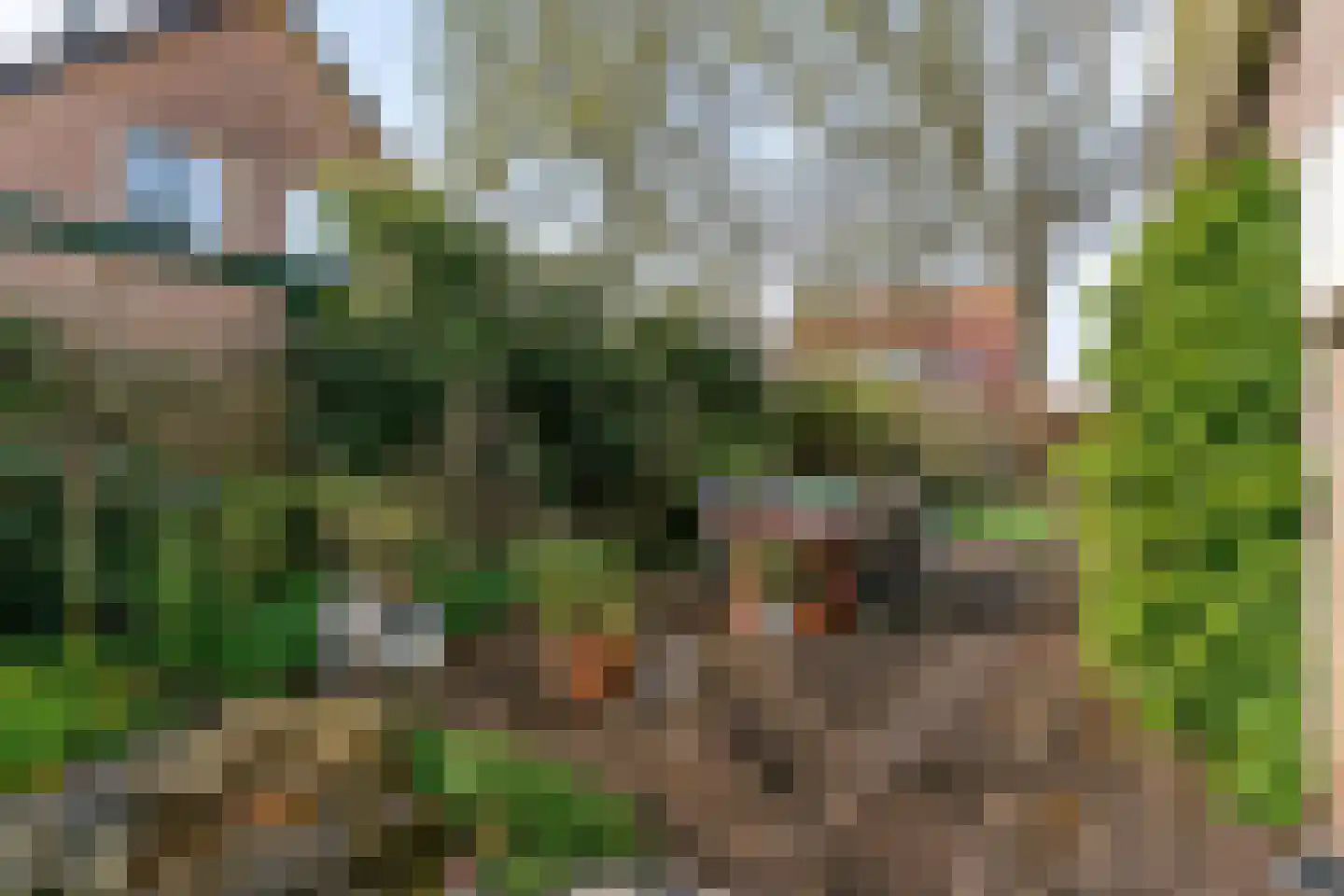 Beethovenlaan 18 Helmond thumbnail 12